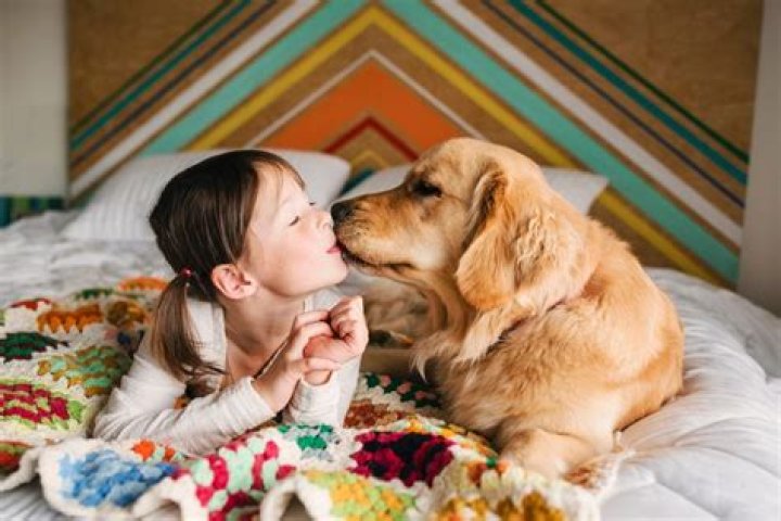 What is the most loving pet?