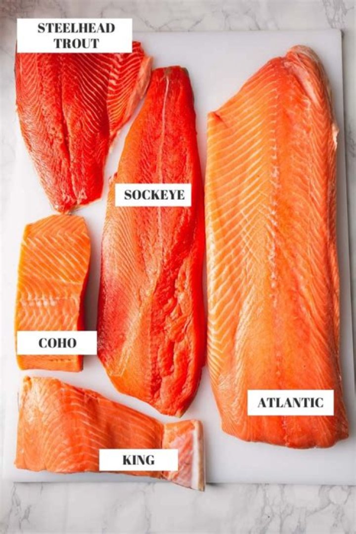 What is the most mild tasting salmon?