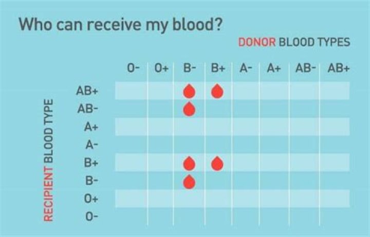 What is the personality of B blood type?