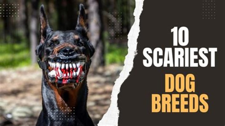 What is the scariest dog name?