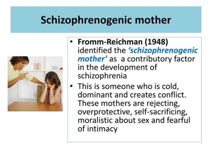 What is the Schizophrenogenic mother?