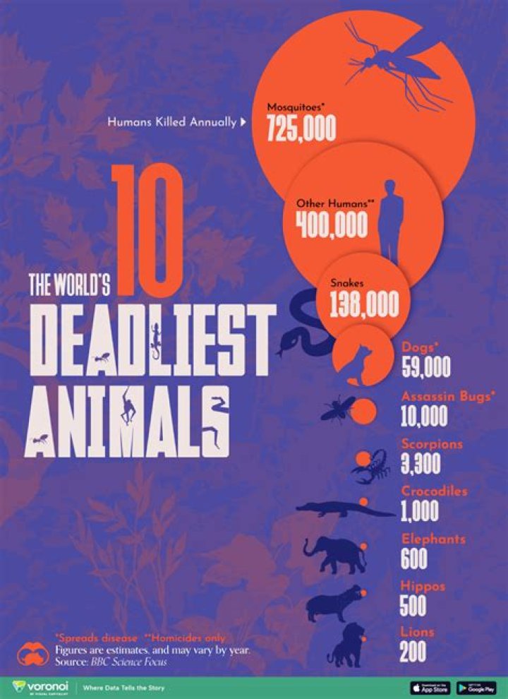 What is the top 10 deadliest animal in the world?