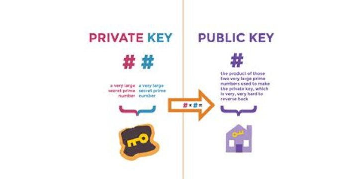 What is the use of private key and public key in SAML SSO?
