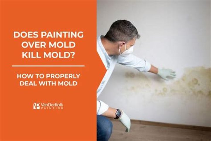 What kills mold inside walls?