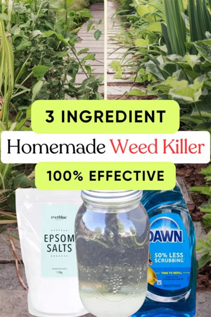 What kills weeds permanently home remedy?