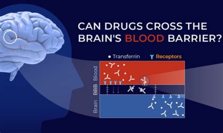 What medications cross the blood-brain barrier?