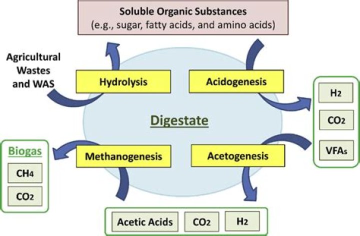 What occurs in the hydrolysis step of anaerobic digestion?