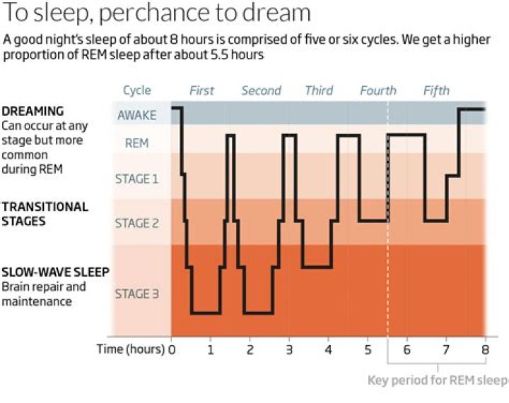 What part of sleep do you dream?