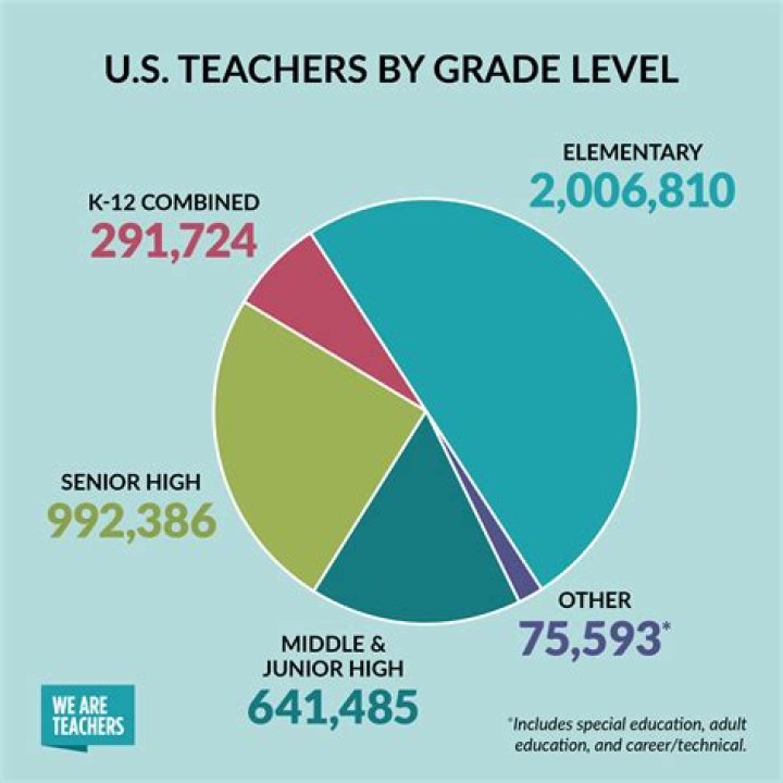 What percentage of teachers are Black females?