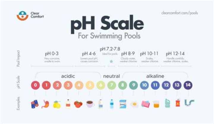 What pH should a pool be?
