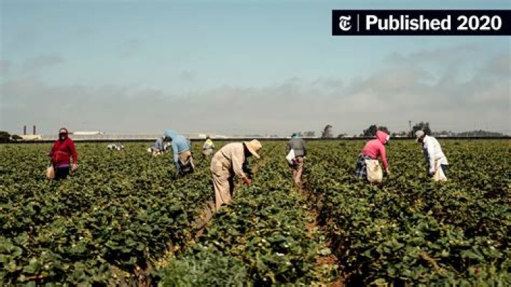What problems did farmers migrant workers face during the Depression?