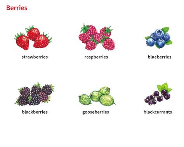 What qualifies as a berry?