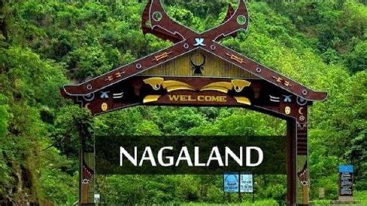 What race is Nagaland?