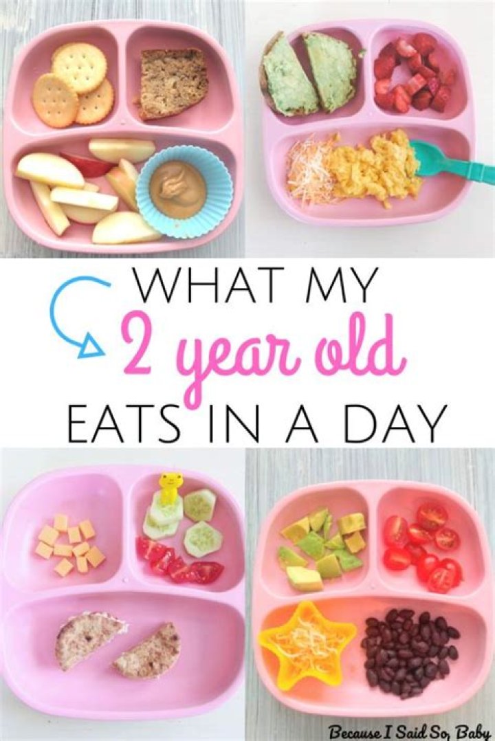 What should a 2 year old eat for breakfast?