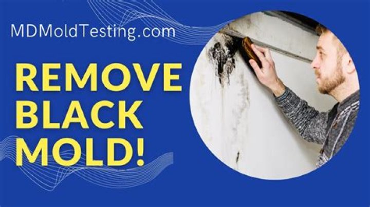 What should I wear when removing black mold?
