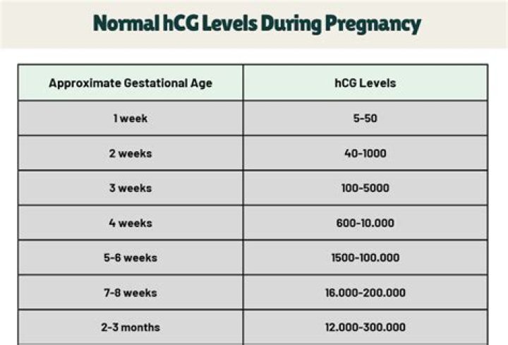 What should the hCG level be at 4 weeks?