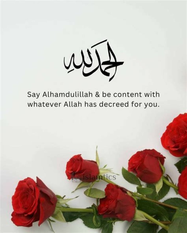 What should we reply when someone says Alhamdulillah?