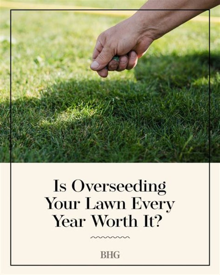 What should you do to your lawn every year?
