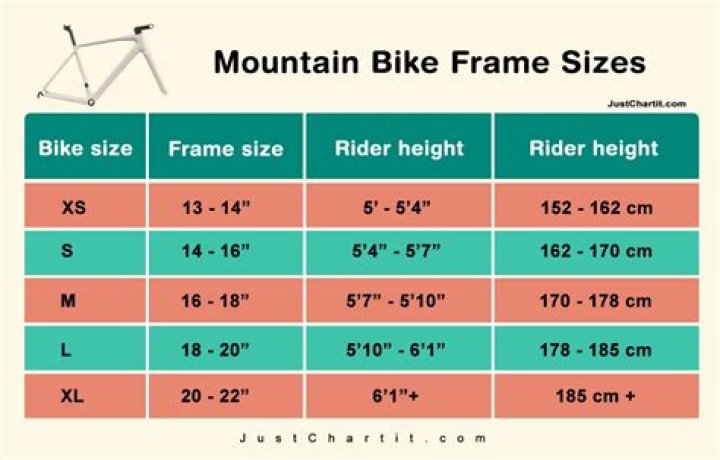What size is a 21 inch bike frame?