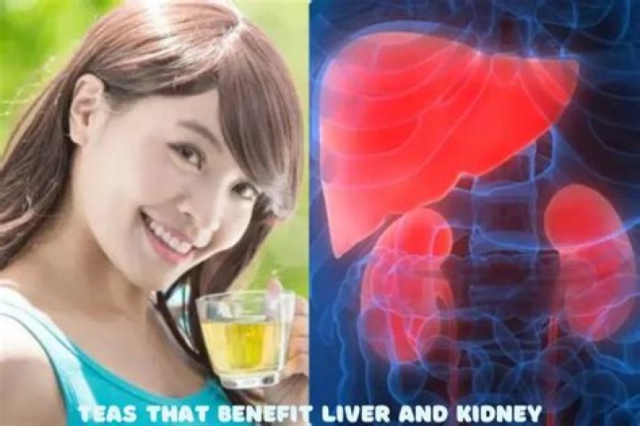 What tea is good for kidneys and liver?