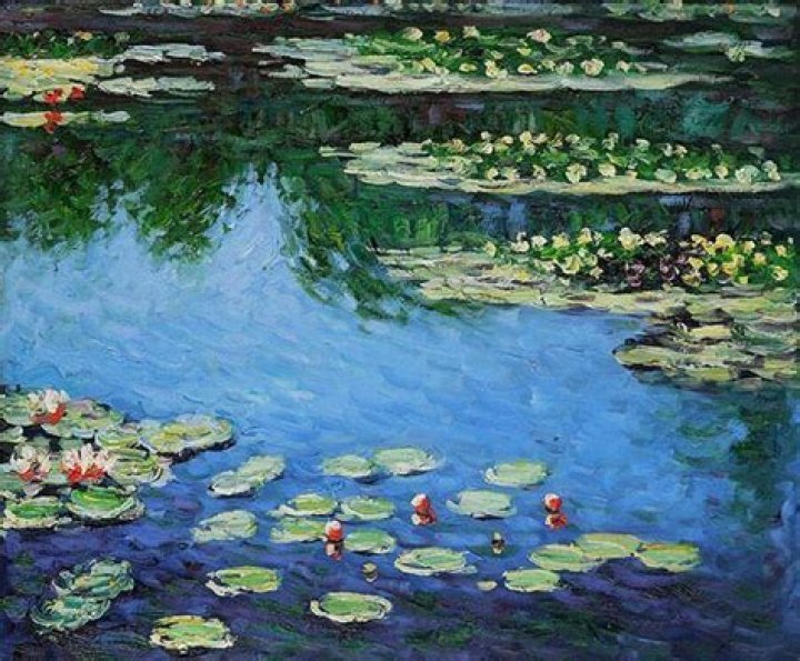 What techniques did Claude Monet use?