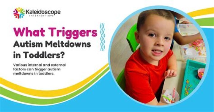 What triggers autism?