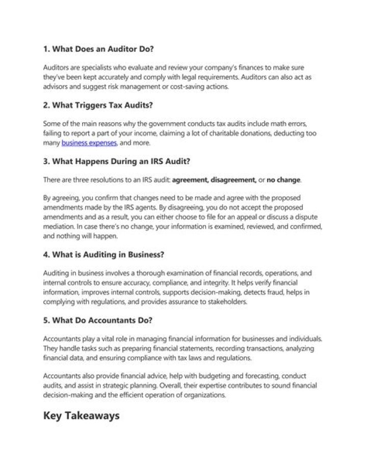 What triggers tax audits?