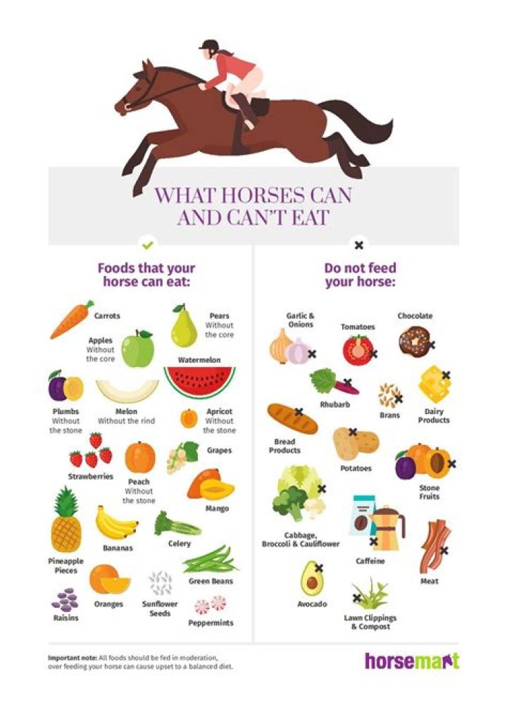 What vegetables should horses not eat?