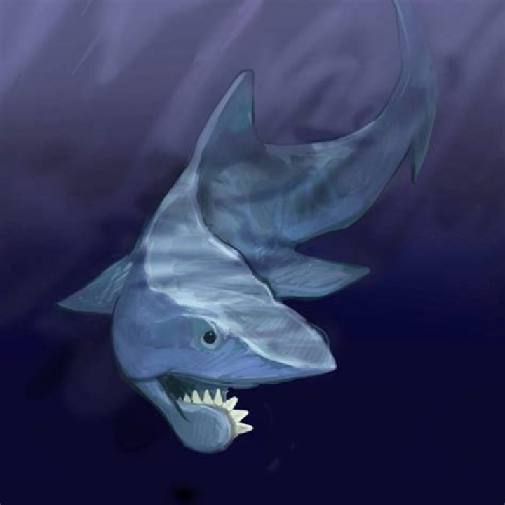 What was the very first shark?