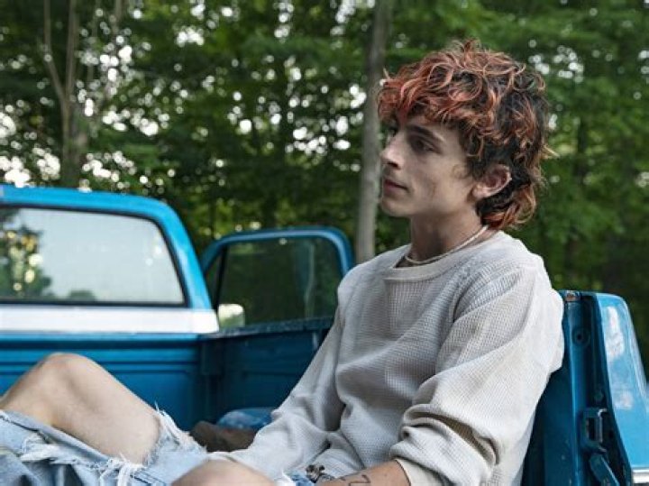 What was Timothee Chalamets first big role?