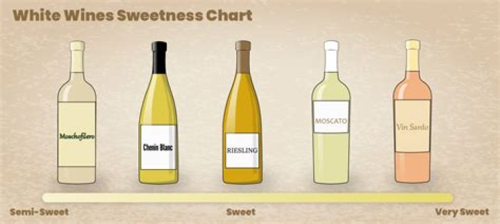 What wine is best for beginners?