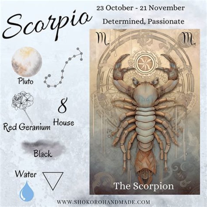 What year is a Scorpio?