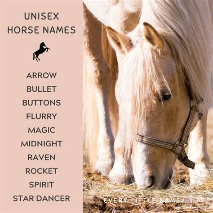 What's a good horse name?