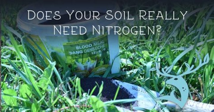 When should I add nitrogen to my garden?