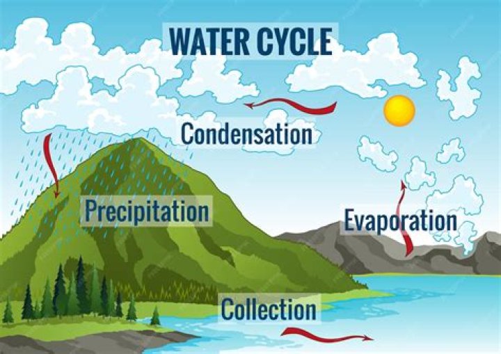 When was the water cycle founded?