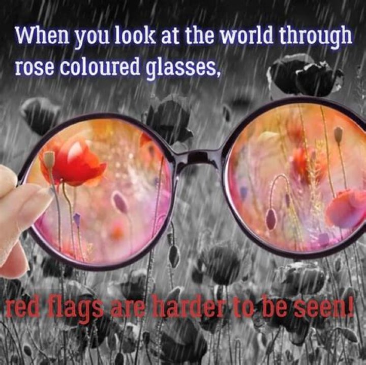 When you're wearing rose tinted glasses all the red flags just look like flags?
