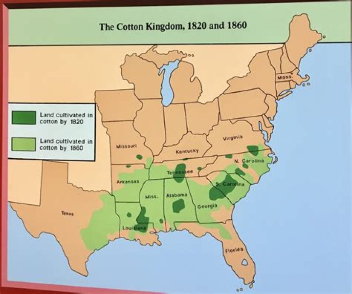 Where did cotton come from?