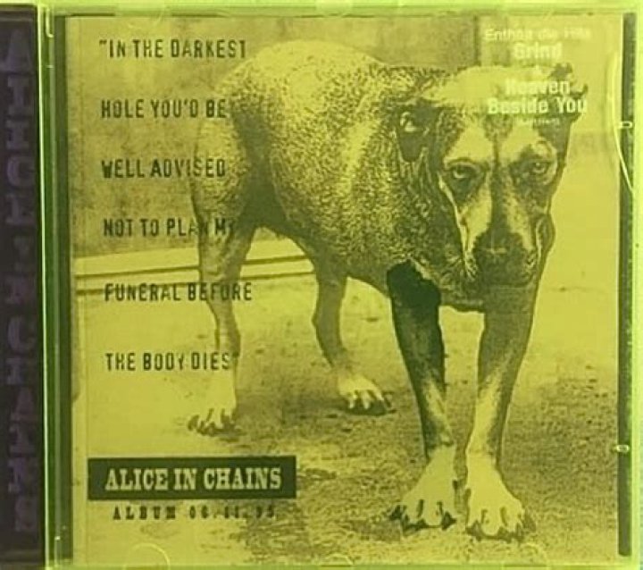 Where did the name Alice in Chains come from?