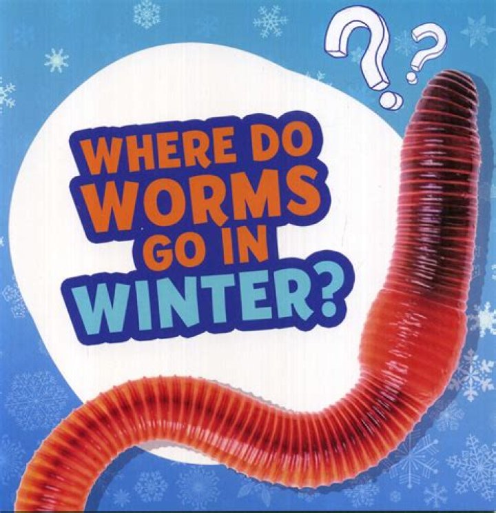 Where do worms go when raining?