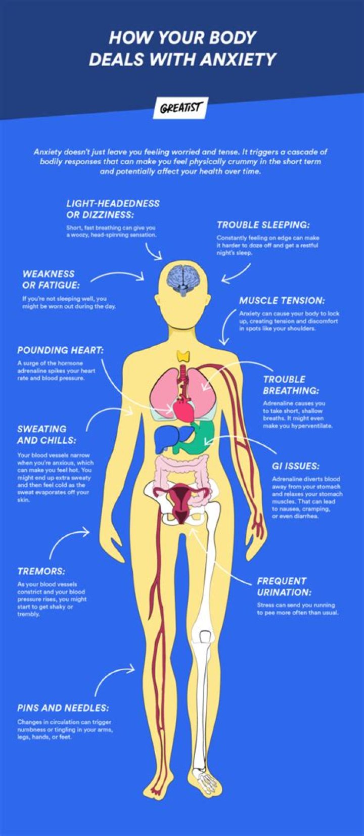 Where do you feel anxiety in your body?
