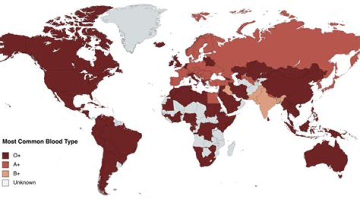 Where is B+ blood most common?
