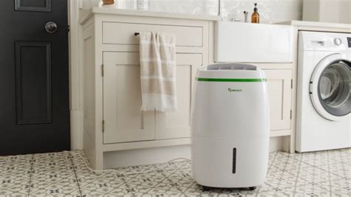 Where should I put my dehumidifier in my house?