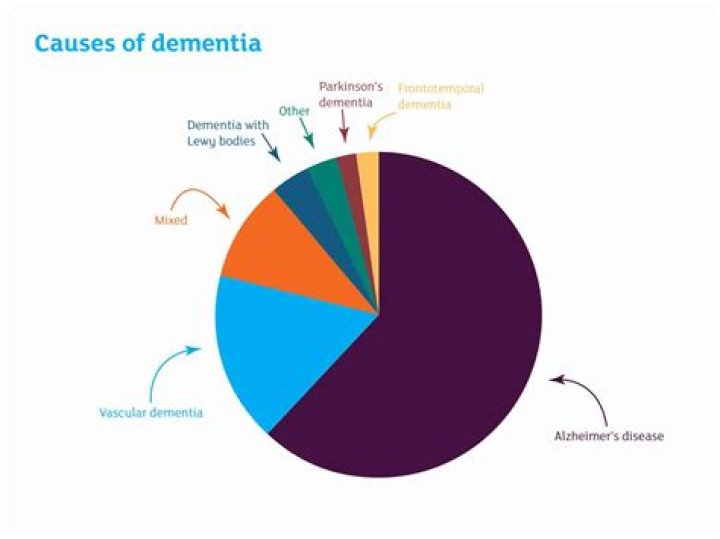 Which are the three most common causes of dementia?