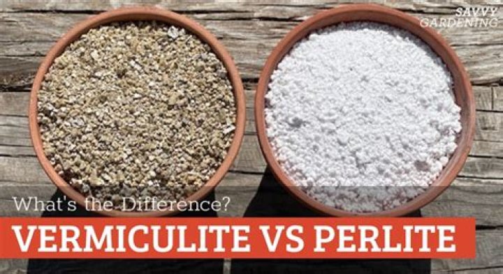 Which is better vermiculite or perlite?