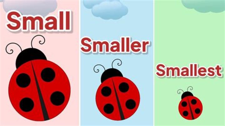 Which is the smallest day?