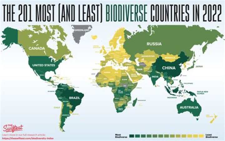 Which Ivy is the least diverse?