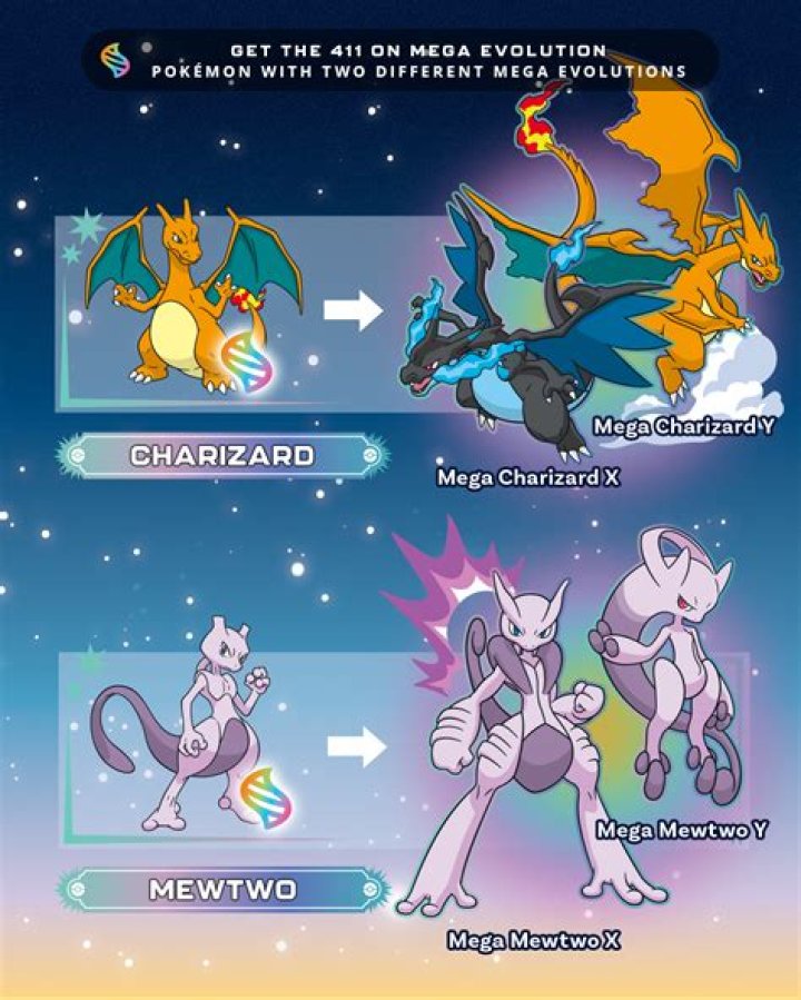 Which Mega Charizard is Dragon?