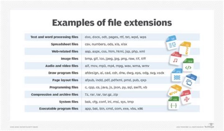 Which of the following file types should never be opened?