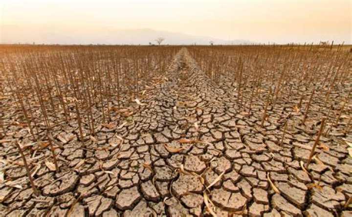 Which state is not affected by drought?