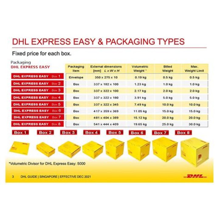 Who delivers DHL packages in USA?